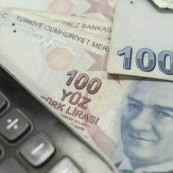 Yerli parayla ticarette y&uuml;zde 10,4'l&uuml;k artış! Yılın ilk 7 ayında &ccedil;ifte haneli b&uuml;y&uuml;me