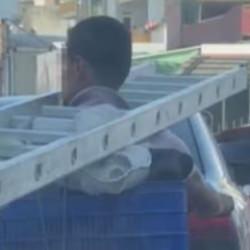 Boynuna merdiveni asıp gaza bastı! Osmaniye'de şaşırtan taşıma y&ouml;ntemi