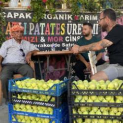 Hasat başladı! Tarlada 200 TL, pazarda 350 TL