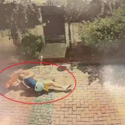 Dehşet anları kamerada: Pitbull k&ouml;peği par&ccedil;alarcasına ısırdı, k&uuml;&ccedil;&uuml;k kızı savurdu