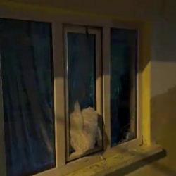 Eskişehir&rsquo;de komşular arasındaki silahlı kavgada 1 tutuklama