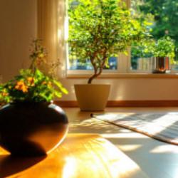 Feng Shui: Evinizi enerjiye a&ccedil;ın