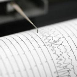 Yeni Zelanda'da deprem! Beşik gibi sallandı!