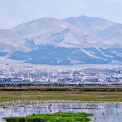 128 yıllık belge a&ccedil;ığa &ccedil;ıktı! Erzurum petrol&uuml; Osmanlı'nın g&uuml;ndemindeymiş