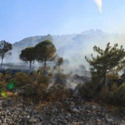 Antalya'da orman yangını: Kontrol altına alındı!