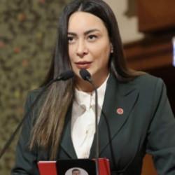 CHP Meclis &uuml;yesi Avukat H&uuml;lya Şimşek g&ouml;zaltına alındı