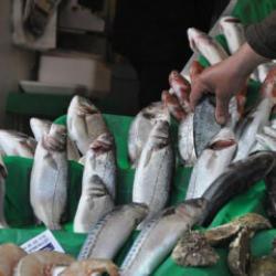 Balık&ccedil;ıları sevindiren gelişme! Beklenen karar resmileşti