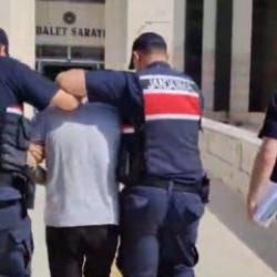 Edremit'teki orman yangına ilişkin 1 tutuklama