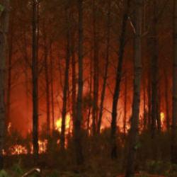 Fransa alev alev! 50 vilayette turuncu alarm