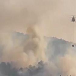 Bolu'da orman yangını