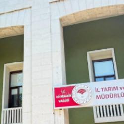 Kedinin ısırdığı 4 yaşındaki &ccedil;ocuk ent&uuml;be edildi! Kuduz testi pozitif &ccedil;ıktı