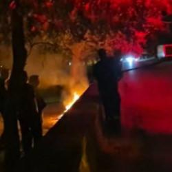 Parkta kasten &ccedil;ıkarılan yangın ekipleri teyakkuza ge&ccedil;irdi