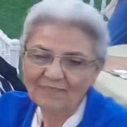 Sarıyer'de 10 metre y&uuml;kseklikten d&uuml;şen emekli &ouml;ğretmen &ouml;ld&uuml; 