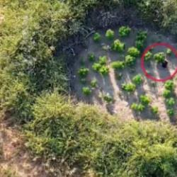 Sosyal medyadan uyuşturucu satan &ccedil;eteye darbe: 96 ş&uuml;pheli yakalandı