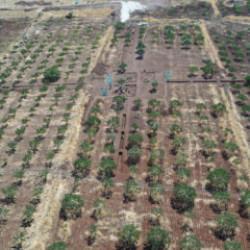 Tarihin sıfır noktasında T&uuml;rk ve &Ccedil;inli arkeologlardan ortak kazı
