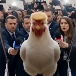 Trump'a korkak tavuk g&ouml;ndermesi