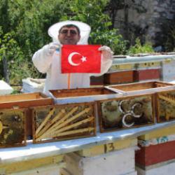 Bu se&ccedil;imi arılar belirledi! 4 partinin kıyasıya yarışı sonu&ccedil; verdi 