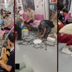 &Ccedil;in'de devrilen kovadan sa&ccedil;ılan yılan balıkları metroda panik yarattı