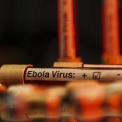 Ebola alarmı b&uuml;y&uuml;yor! DS&Ouml;&rsquo;den korkutan uyarı: Risk &ccedil;ok y&uuml;ksek