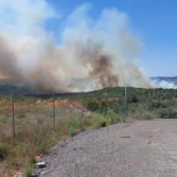 Gebze'de orman yangını