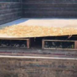 Hatay'da trakt&ouml;r r&ouml;morkunda binlerce saka kuşu &ccedil;ıktı! S&uuml;r&uuml;c&uuml;ye 19,8 milyon TL ceza kesildi