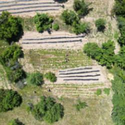 Kırsal kalkınma i&ccedil;in orman k&ouml;yl&uuml;s&uuml;ne 3,3 milyar TL&rsquo;lik hibe ve faizsiz kredi m&uuml;jdesi
