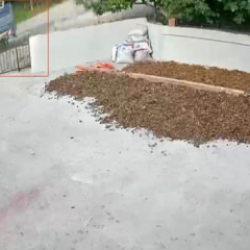 Ordu'da patpat kazası: 1 &ouml;l&uuml;