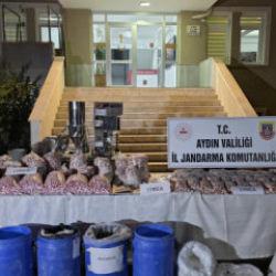 Aydın'da dev operasyon: &Ccedil;iftliği zehir fabrikasına &ccedil;evirmişler