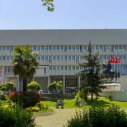 Zonguldak Valiliği&rsquo;nden "Tarım iş&ccedil;ilerine saldırı" iddialarına a&ccedil;ıklama