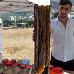 Batman'da ağa&ccedil; kavuğunda &ccedil;ıkartıldı! Kilogram fiyatı &ccedil;eyrek altını ge&ccedil;ti 