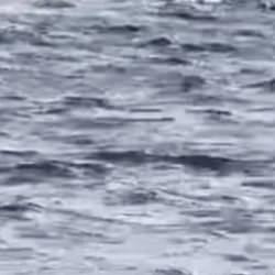 Ayvalık'ta can pazarı: Akıntıya kapılan tatilciyi botla kurtardı! 