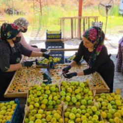 Cami &ouml;nlerinde başladı şimdi t&uuml;m T&uuml;rkiye'ye satıyor