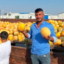 Hatay'da t&uuml;ccarın bi&ccedil;tiği fiyata kafası atan &ccedil;ift&ccedil;iden 50 tonluk hayır
