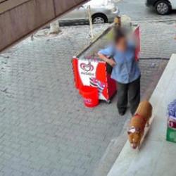 İzmir'de pitbull dehşeti! Kadının işaret parmağını kopardı