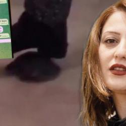 Kaplumbağa cinayetinin arkasından karanlık ağ &ccedil;ıktı: 2 bin 500 TL&rsquo;ye katliam