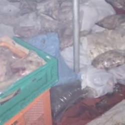 Muğla'da k&ouml;t&uuml; koku gıda skandalına g&ouml;t&uuml;rd&uuml;: 400 kilogram bozuk et ele ge&ccedil;irildi