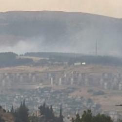 Kahramanmaraş'ta orman yangını