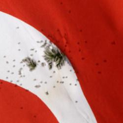 T&uuml;rk bayrağına ateş edildi! Valilikten a&ccedil;ıklama!