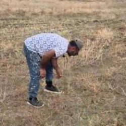 Yozgat'ta tarladan fışkırdı! Hayvanlarını otlatırken fark etti