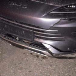 Bilecik'te otomobilin &ccedil;arptığı domuzlar telef oldu