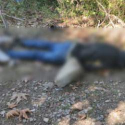 Kastamonu'da dere kenarında erkek cesedi bulundu: 1 g&ouml;zaltı