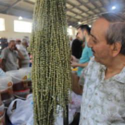 Hızır'ın cebinden d&uuml;şen şifa kaynağı: 100 gramı 300 TL'den satılıyor