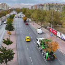 Konya B&uuml;y&uuml;kşehir, ulaşım projesi sırasında kaldırdığı her ağacı yeniden dikiyor