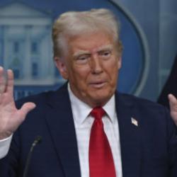 Almanya'da AfD'nin zaferine Trump'tan ilk yorum! 