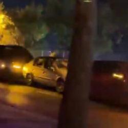 Bolu'da yola fırlayan k&ouml;pekler trafiği birbirine kattı: 5 ara&ccedil; birbirine girdi