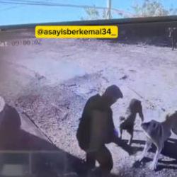 Kemerburgaz'da yaşlı adam k&ouml;peklerin saldırısına uğradı