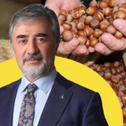 AK Partili Hamarat'tan fındık t&uuml;ccarlarına &ccedil;ağrı: &Uuml;reticinin emeğini g&ouml;zetin