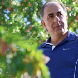 Elazığ'da &ccedil;orak araziyi Fransız badem bah&ccedil;esine d&ouml;n&uuml;şt&uuml;rd&uuml;! Emeğe bakan gıpta etti