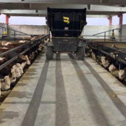 Şanlıurfa et &uuml;retim &uuml;ss&uuml; oluyor! 5 bin kişiye istihdam sağlanacak