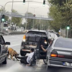 Sakarya'da başıboş k&ouml;pek dehşeti: Y&uuml;r&uuml;y&uuml;şe &ccedil;ıkan vatandaşı yolda s&uuml;r&uuml;kledi